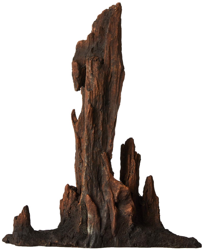 Underwater Treasures Petrified Wood - Large - Image 3